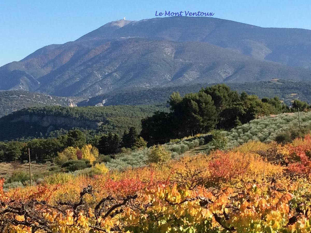 Bed and Breakfast Le Nid Au Pied Du Mont Ventoux Malaucène Exterior foto